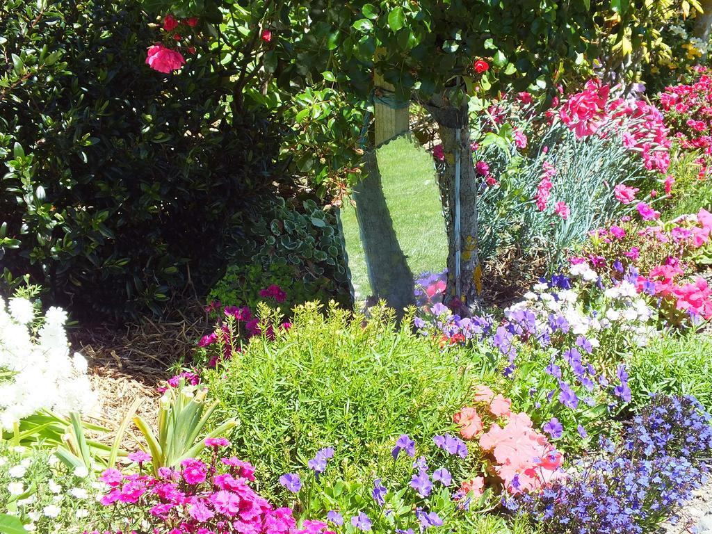 Bed and Breakfast Austin Heights - Kaikoura Exteriér fotografie